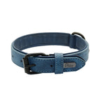 Padded Leather Dog Collar