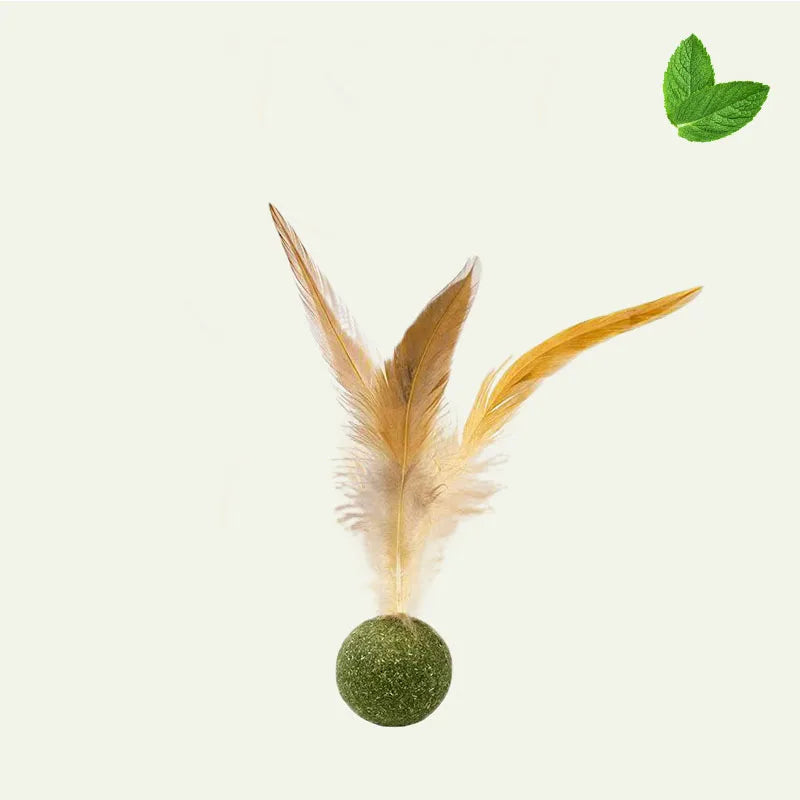 Feather Stick Bouncy Ball Cat Toy with Catnip — Feather Tossing Ball for Interactive Play
