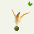 Feather Stick Bouncy Ball Cat Toy with Catnip — Feather Tossing Ball for Interactive Play