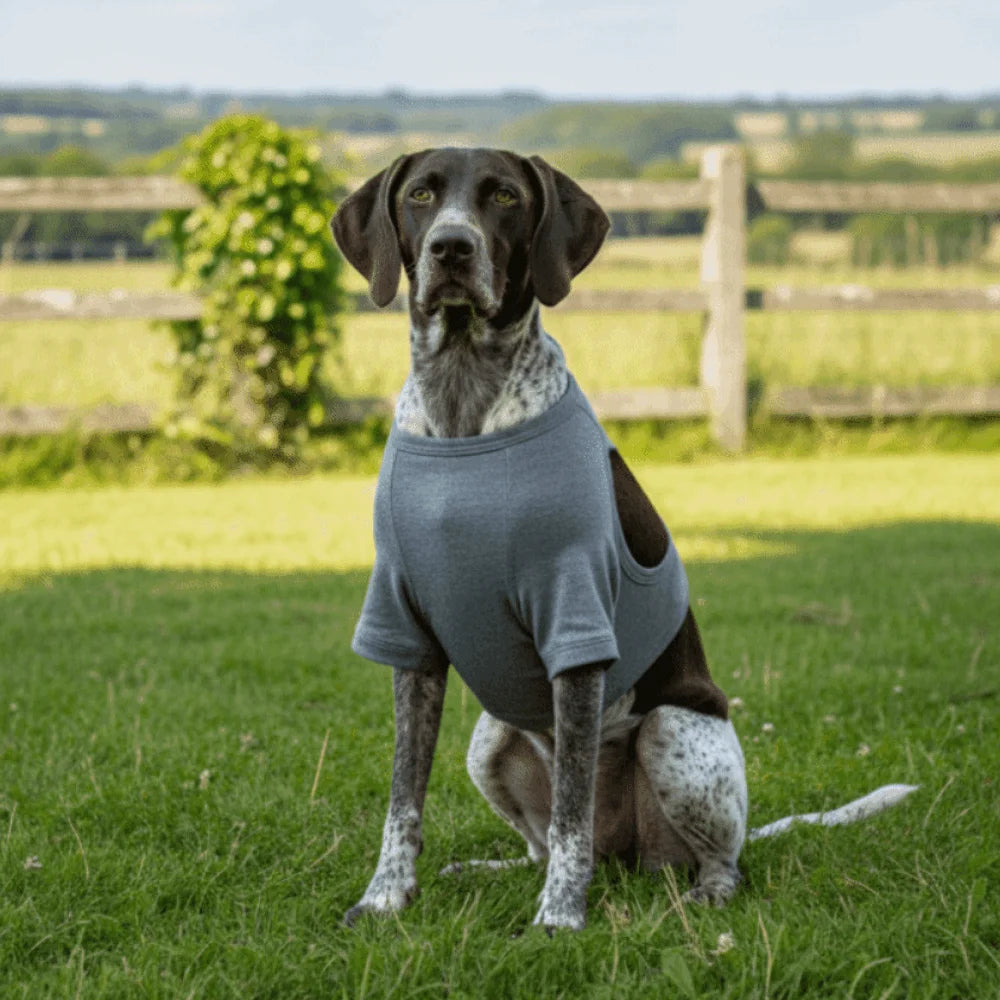 Dog Long-Sleeve Recovery Sleeve (Breathable, Anti-Lick, High Elasticity, Leg)