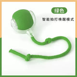 Smart Self-Rolling Ball Cat Toy — Bite-Resistant Boredom Relief