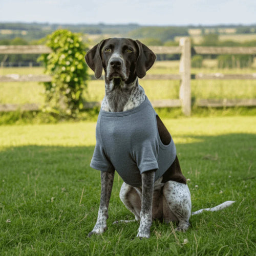 Professional Dog Leg Sleeve (Anti-Lick, Polyester, High Elasticity)