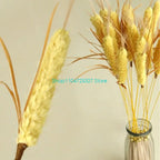 Bite-Resistant Straw Cat Chew Toy with Colorful Quills — Modifiable Interactive Cat Toy
