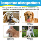 Pet Herbal Cough Relief Drops (Throat Soothe, Immunity Boost, Cats & Dogs)