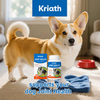 Dog Joint Care Supplement Tablets — Cartilage Support, 60-Count