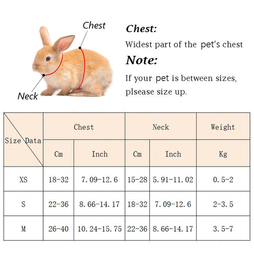 Angel Wing Rabbit Harness & Leash Set — Cute Costume for Small Pets