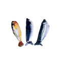 Electric Plush Wagging Fish Cat Toy — 3 Flapping Modes Tap-Activated Motion Sensor (1–3 Pack)