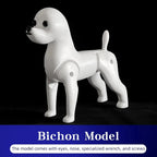 Bichon Grooming Practice Model with Wig