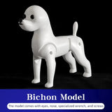 Bichon Grooming Practice Model with Wig
