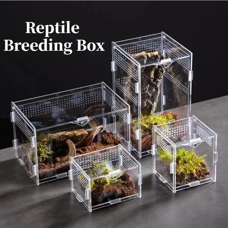 Acrylic Nano Terrarium — Ventilated Enclosure for Tarantulas & Small Reptiles