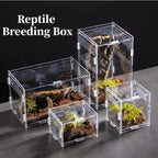Acrylic Nano Terrarium — Ventilated Enclosure for Tarantulas & Small Reptiles