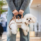 Dog Lift Harness & Carrier Bag (Breathable, Multifunctional, Traction)