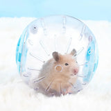 Transparent Exercise Ball — Ventilated Running Toy for Hamsters