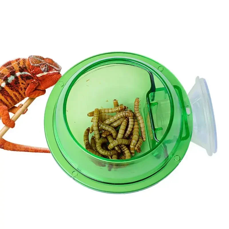 Anti-Escape Reptile Feeding Bowl — Suction-Mount Food & Water Dish