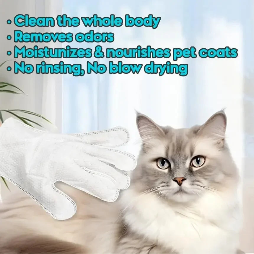 No-Rinse Pet Bathing Gloves — Tea Tree & Aloe Formula for Dogs & Cats (6-Pack)