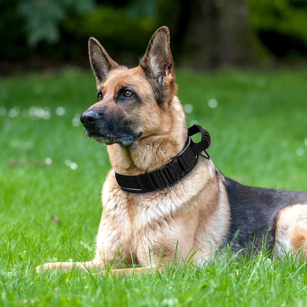 Tactical Dog Collar & Leash Set