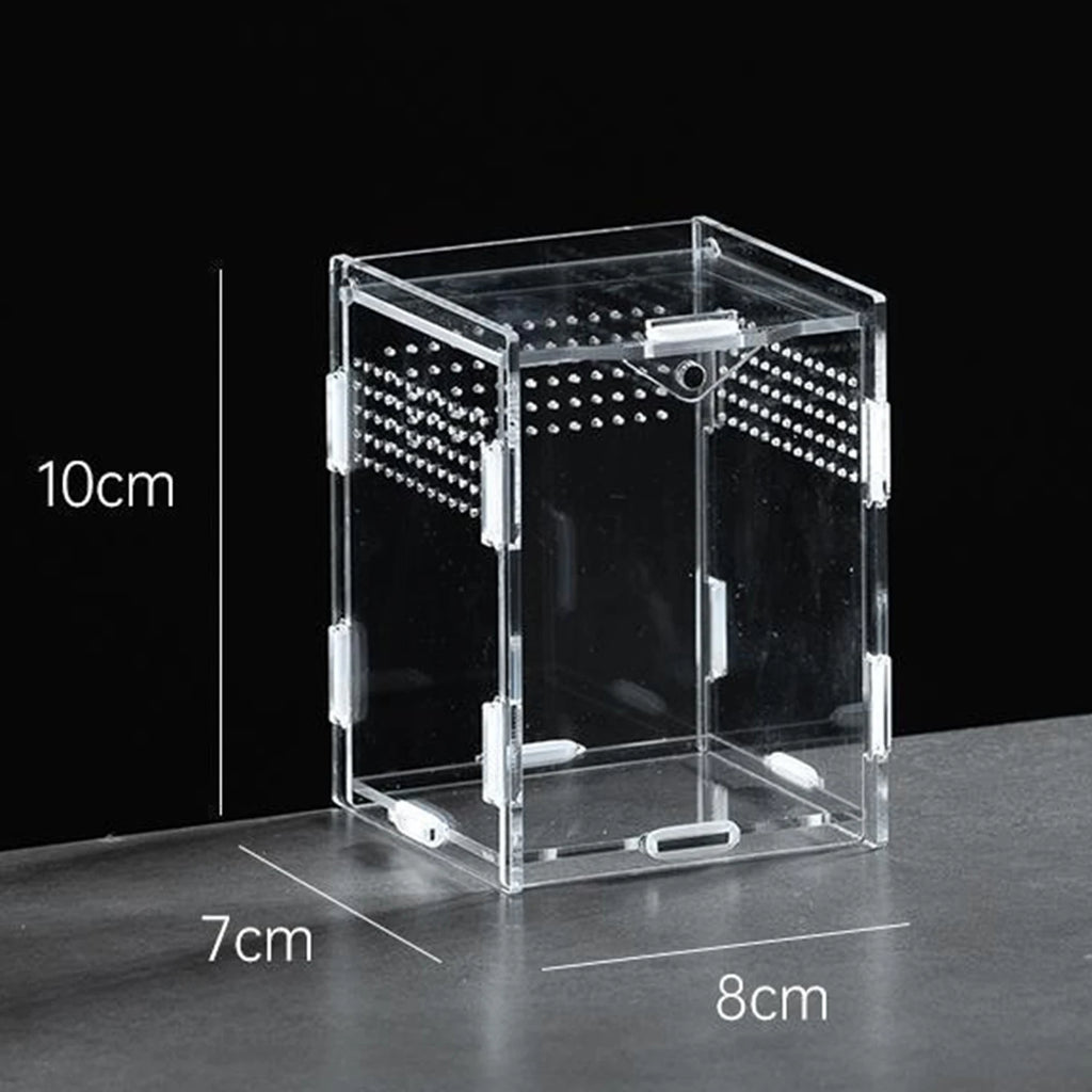 Clear Acrylic Reptile Breeding Box — Ventilated Habitat, Multiple Sizes