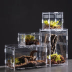 Clear Acrylic Reptile Breeding Box — Ventilated Habitat, Multiple Sizes