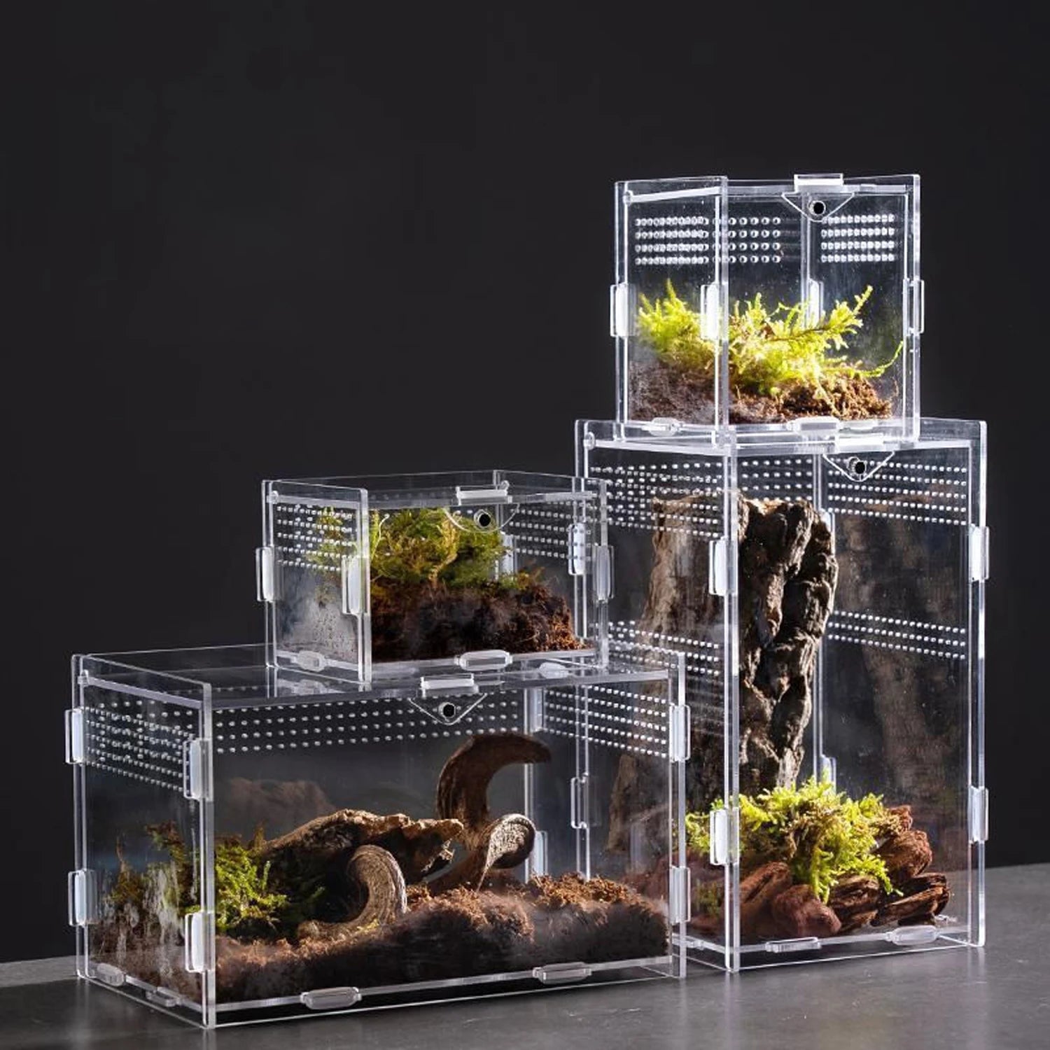 Clear Acrylic Reptile Breeding Box — Ventilated Habitat, Multiple Sizes