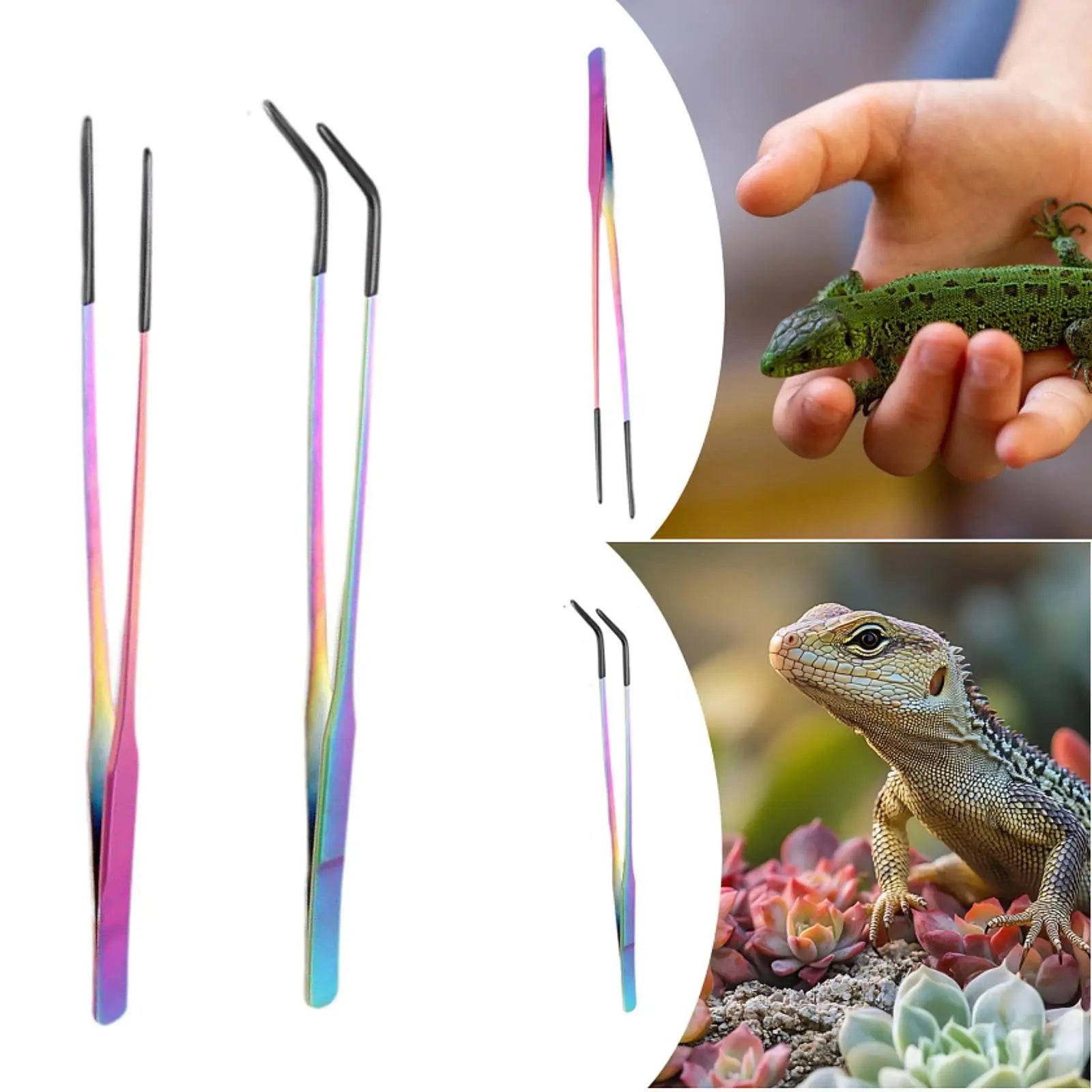 Stainless Steel Reptile Feeding Tongs — Soft-Tip Precision Tweezers