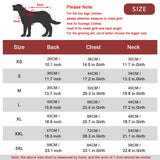 Winter Coat for Big Dogs (Warm Cold Weather Clothes)