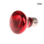 E27 Infrared Basking Bulb — Day & Night Heat Light, 25W–100W