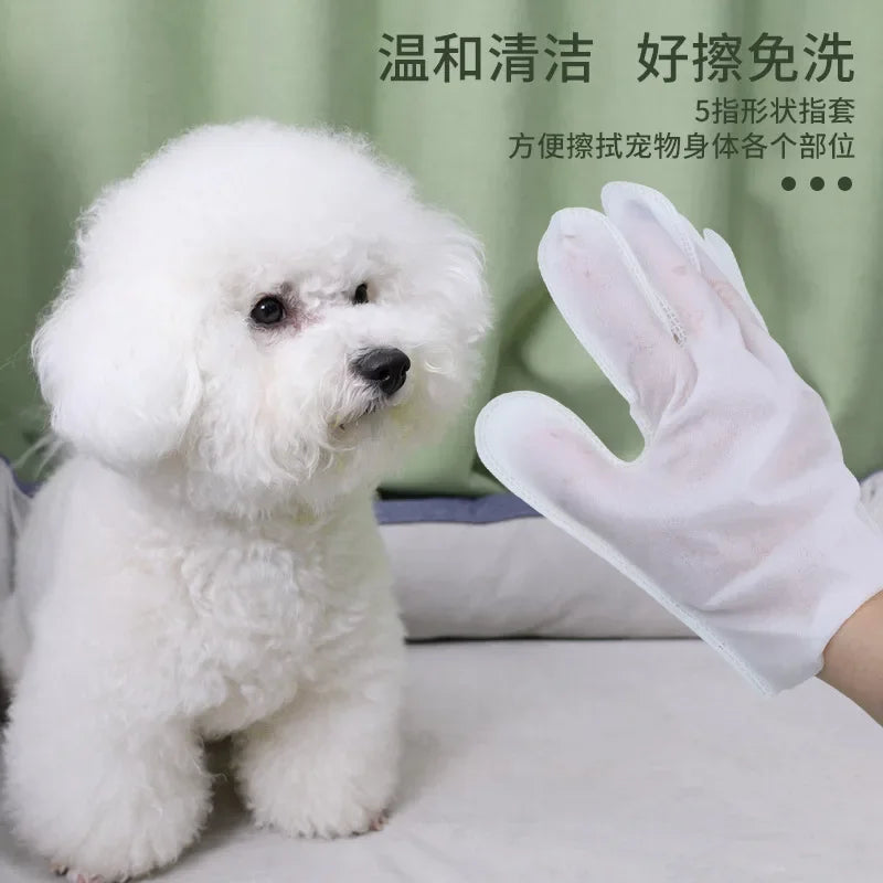 6-Pack No-Rinse Pet Cleaning Gloves — Wash-Free Deodorizing Wipes for Dogs & Cats