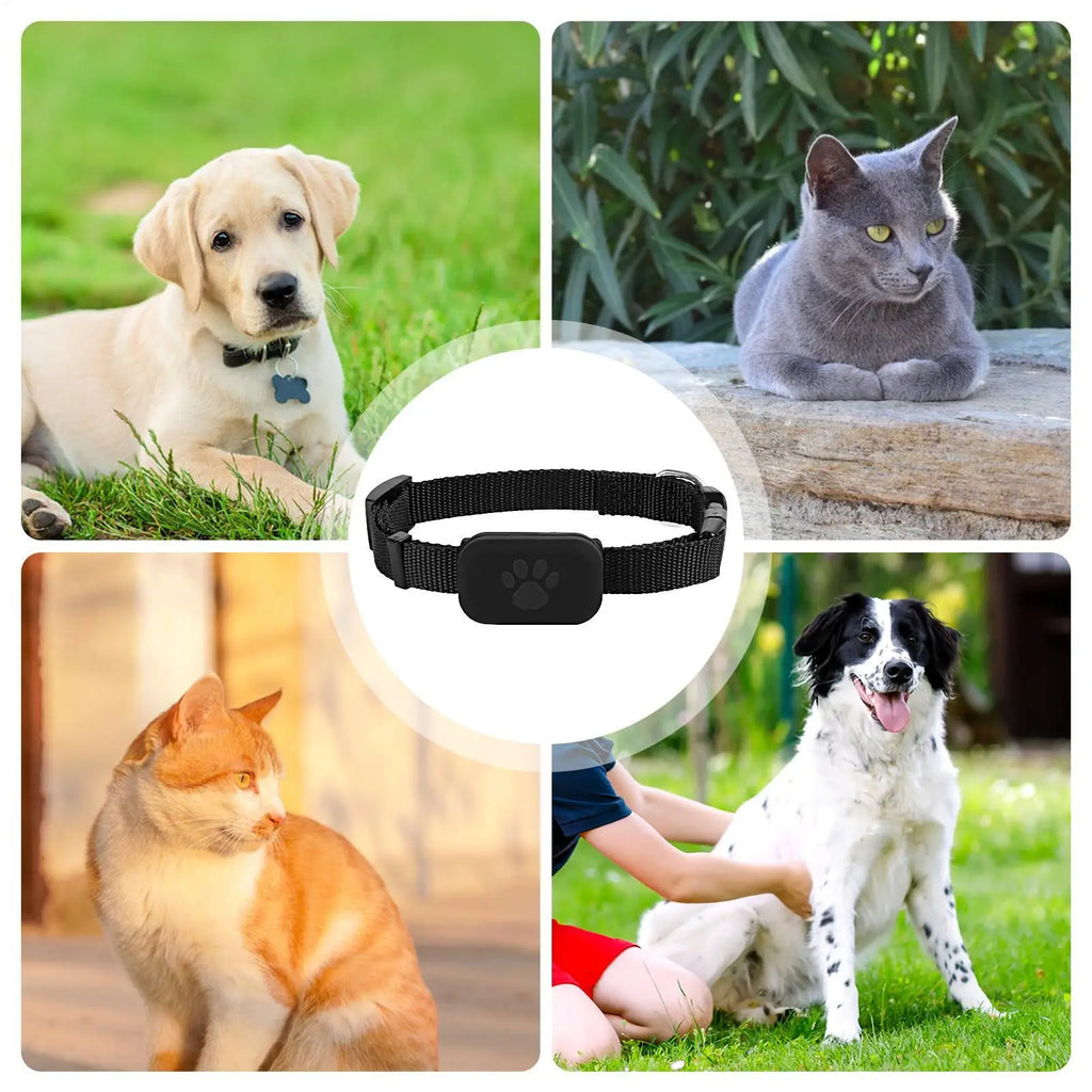 Multifunctional GPS Collar Tracker for Cats & Kittens (iOS)