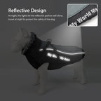Waterproof Dog Jacket with Built-In Harness