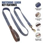 Personalized Dog Collar & Leash Set