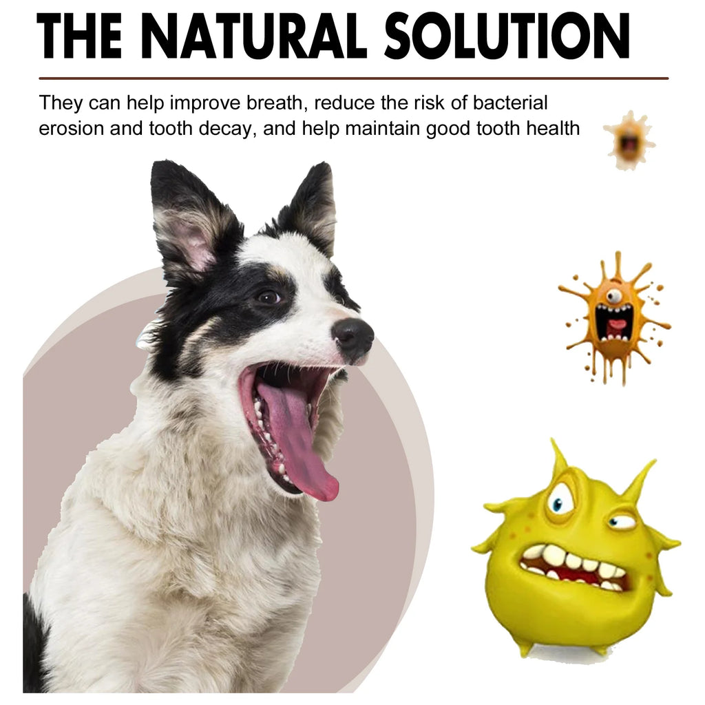 Pet Oral Cleansing Spray — Removes Tartar & Freshens Breath, 30ml