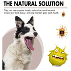 Pet Oral Cleansing Spray — Removes Tartar & Freshens Breath, 30ml