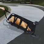 Foldable Pet Stretcher for Veterinary Transport (50kg Capacity)