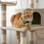 Quick-Release Safety Cat Collar — Cat Face Pendant & Bell