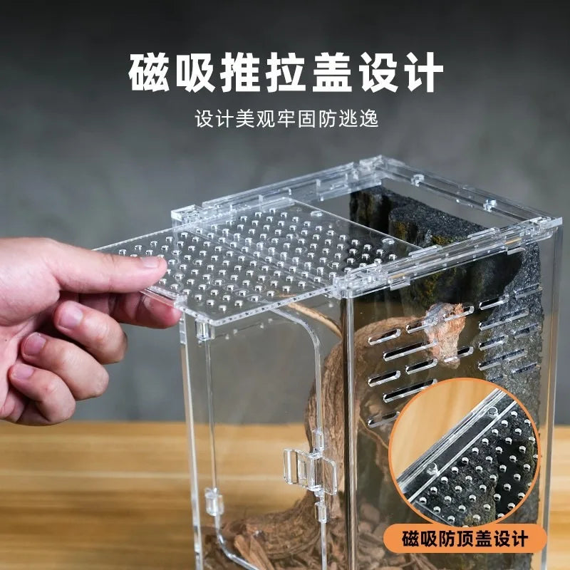 Front-Opening Acrylic Climbing Terrarium — For Tree Frogs, Geckos & Snakes