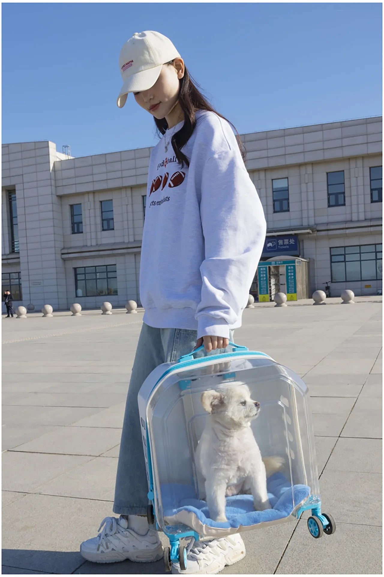 Translucent Portable Large-Capacity Pet Carrier & Aviation Travel Case for Cats