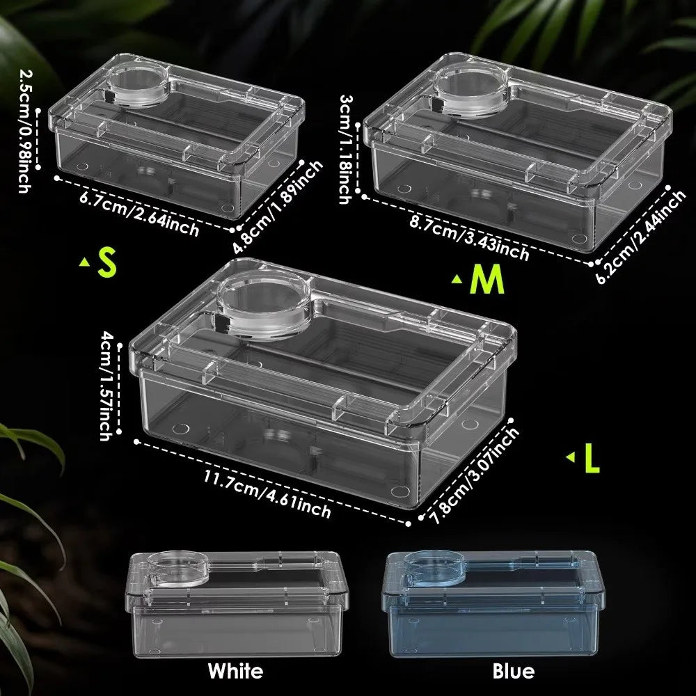 Anti-Overturn Reptile Feeding Bowl — Clear Escape-Proof Insect Dish