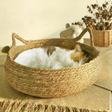 Cardboard Cat Scratcher Bed with Removable Cushion — 40cm Scratch & Nap Station