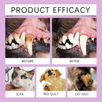 Natural Pet Oral Care Spray — Tartar & Stain Reducing, Fresh Breath, 100ml