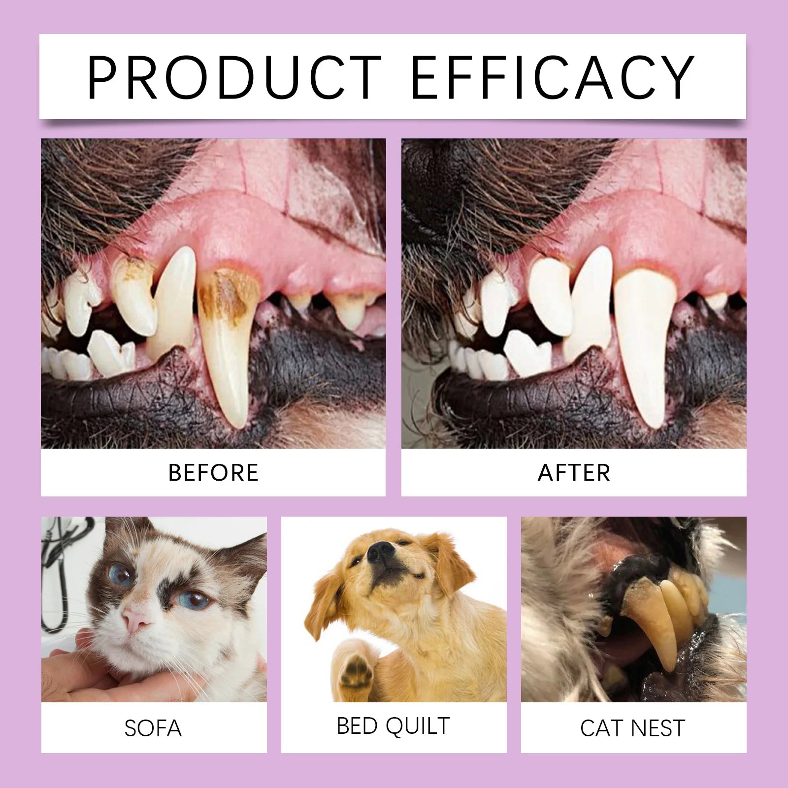 Natural Pet Oral Care Spray — Tartar & Stain Reducing, Fresh Breath, 100ml