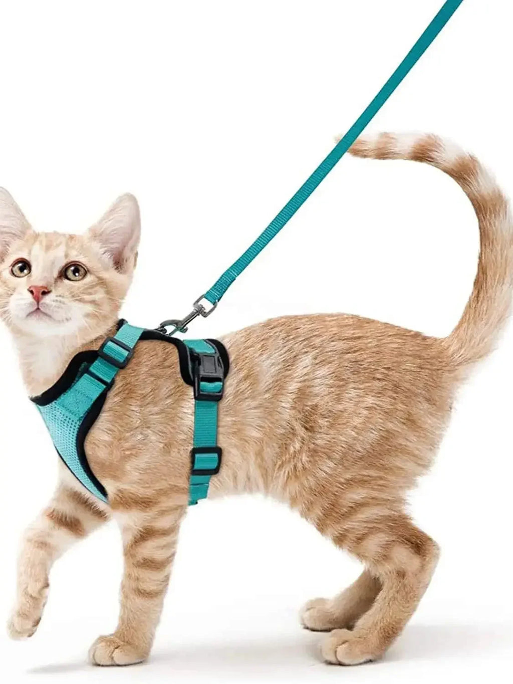 Anti-Escape Kitten Harness & Leash Set — Lightweight Breathable Vest