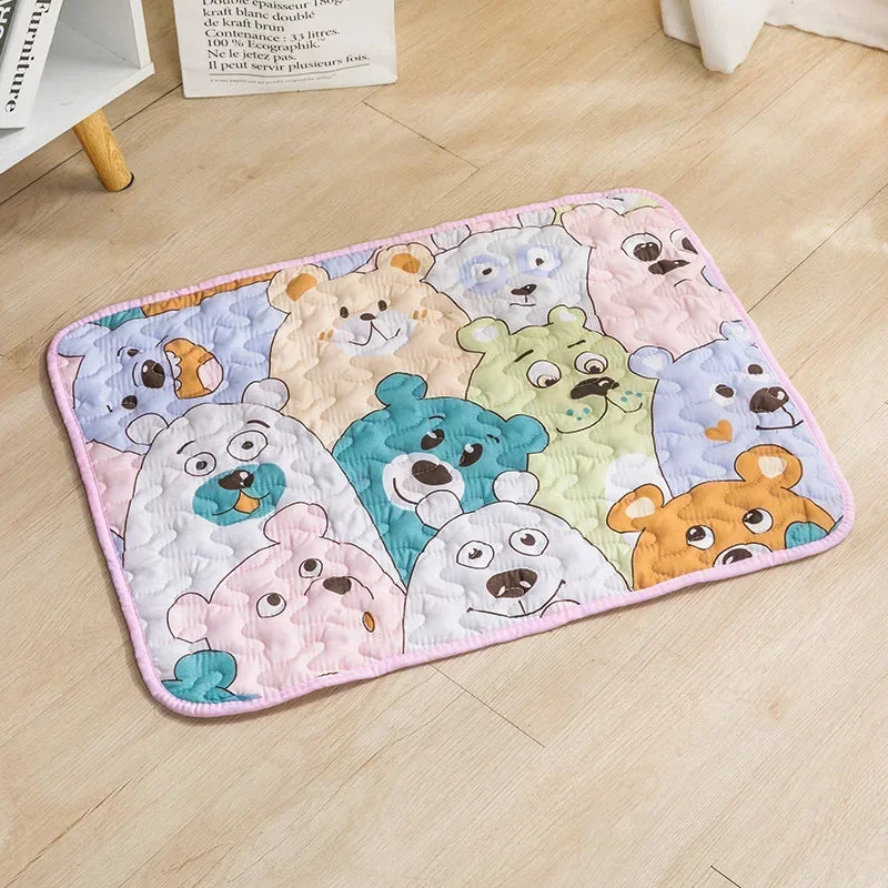 Multi-Functional Washable Pet Mat