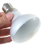 UVA Daylight Heating Bulb for Reptiles — Waterproof, 25W-100W