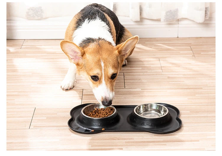 Stainless Steel Double Pet Bowl Set