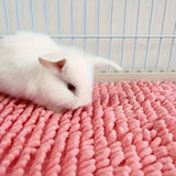 Plush Cushion Sleeping Mat — Portable Warm Bed for Hamsters & Guinea Pigs