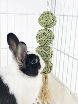 Grass Woven Chew Ball — Hanging Grinding Toy for Rabbits