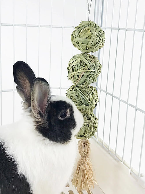 Grass Woven Chew Ball — Hanging Grinding Toy for Rabbits