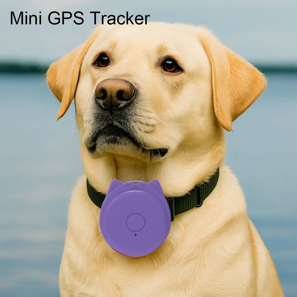 Cartoon Bluetooth 5.2 GPS Tracker for Pets, Kids & Elderly