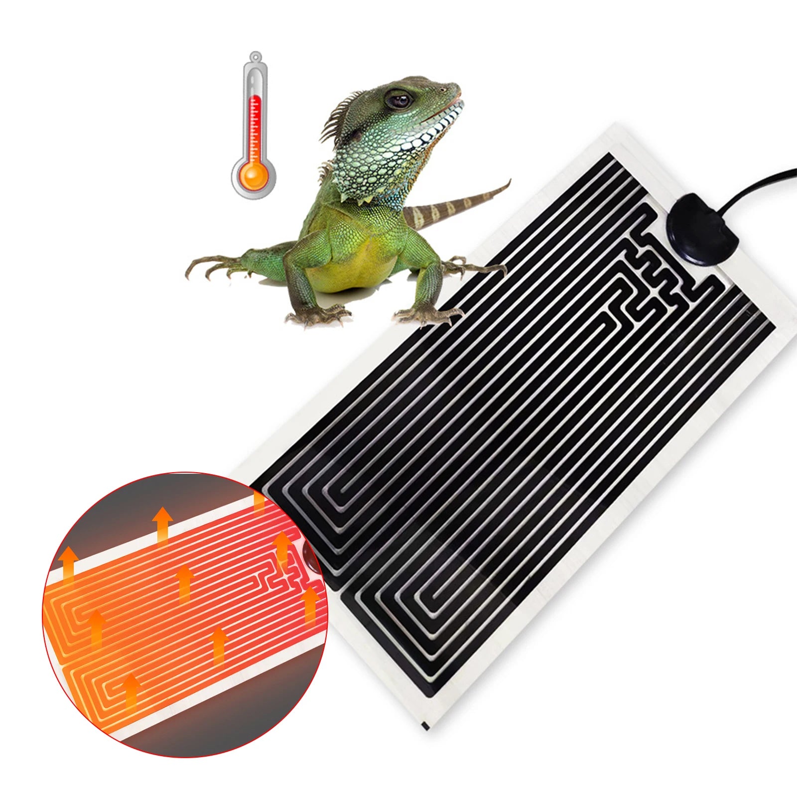 Adjustable Reptile Heat Mat — Graphene Heating Pad with Temperature Controller