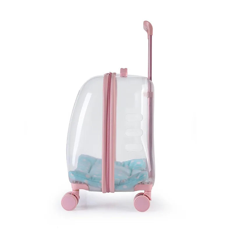 Transparent Capsule Pet Backpack Carrier with Wheels for Cats & Small Dogs